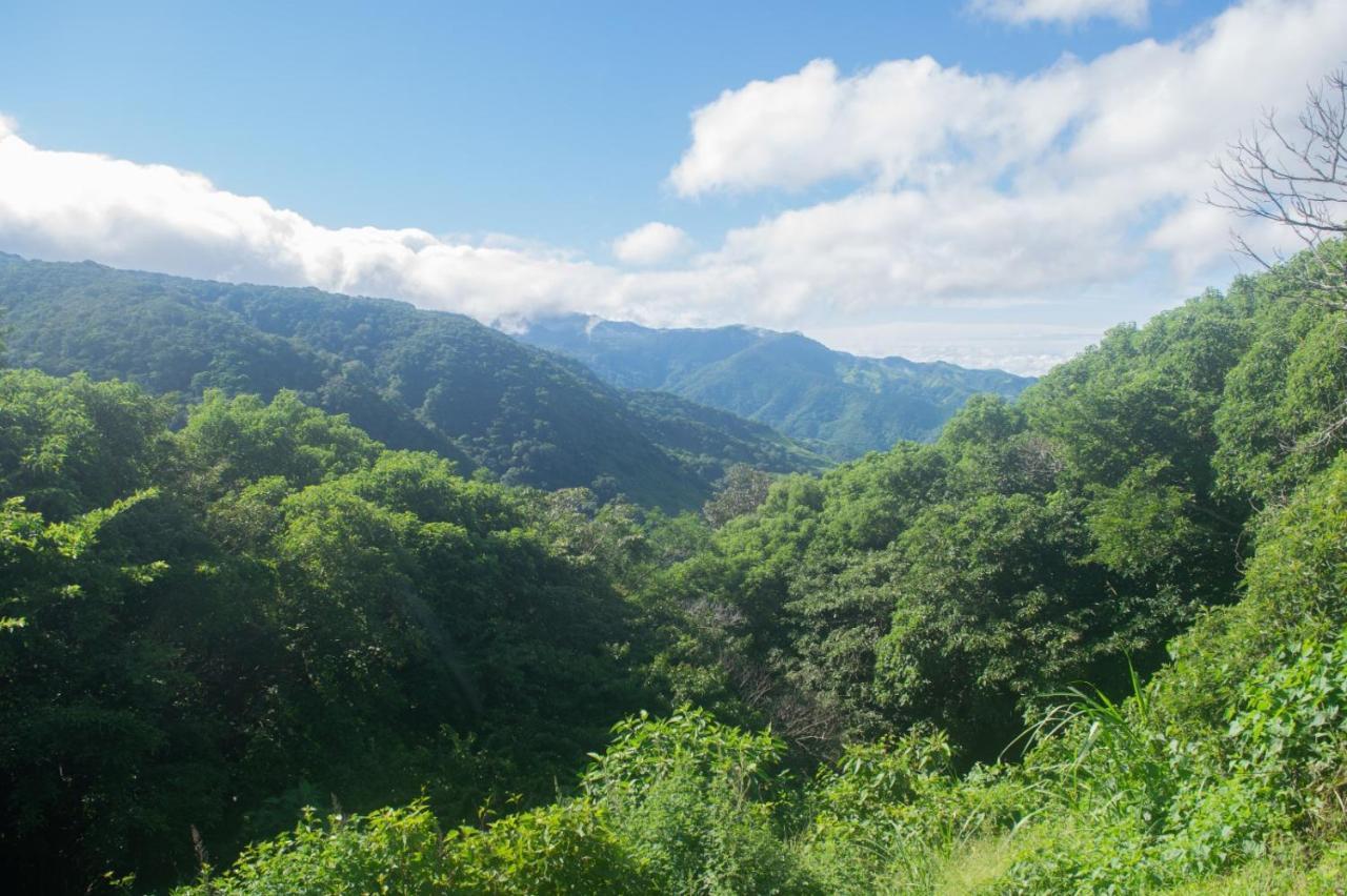 La Casa Bonita Lägenhet Monteverde Exteriör bild
