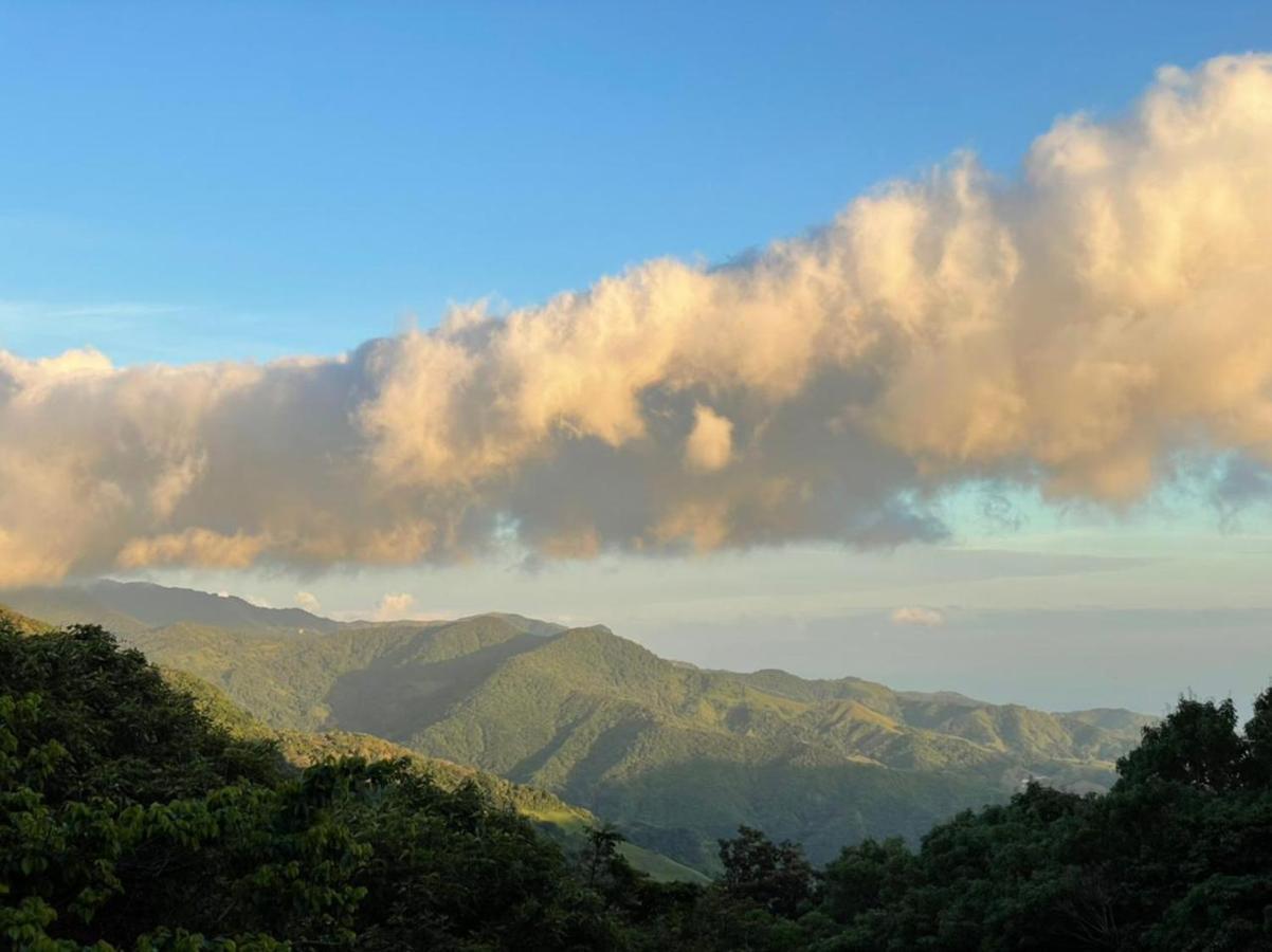 La Casa Bonita Lägenhet Monteverde Exteriör bild