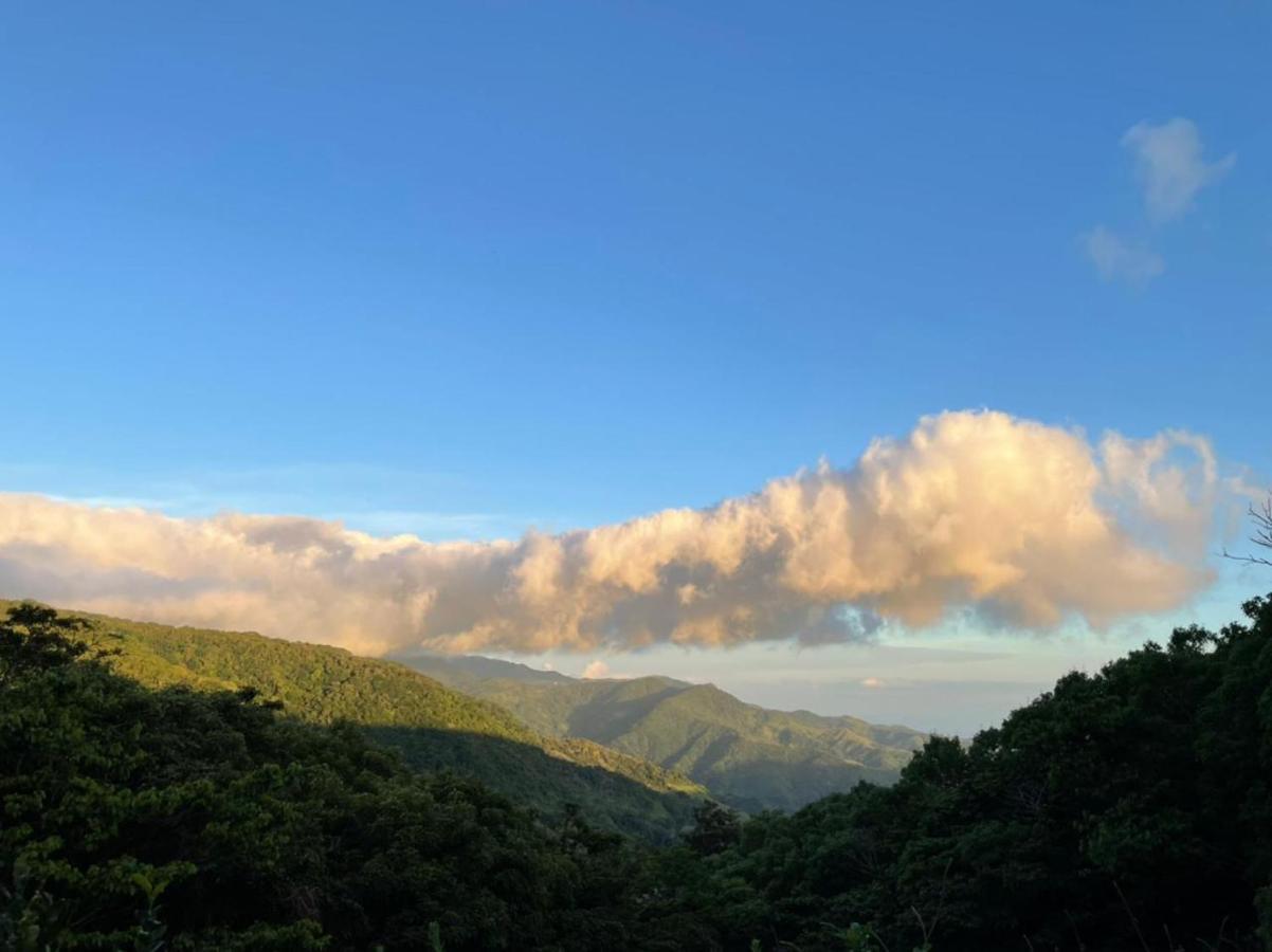 La Casa Bonita Lägenhet Monteverde Exteriör bild